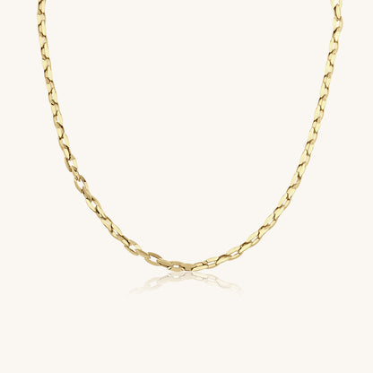 Almond Chain Gold Necklace